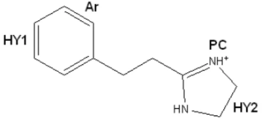 Figure 5. Pharmacophore model of I 2 -IR ligand: the case of  compounds  45 . 