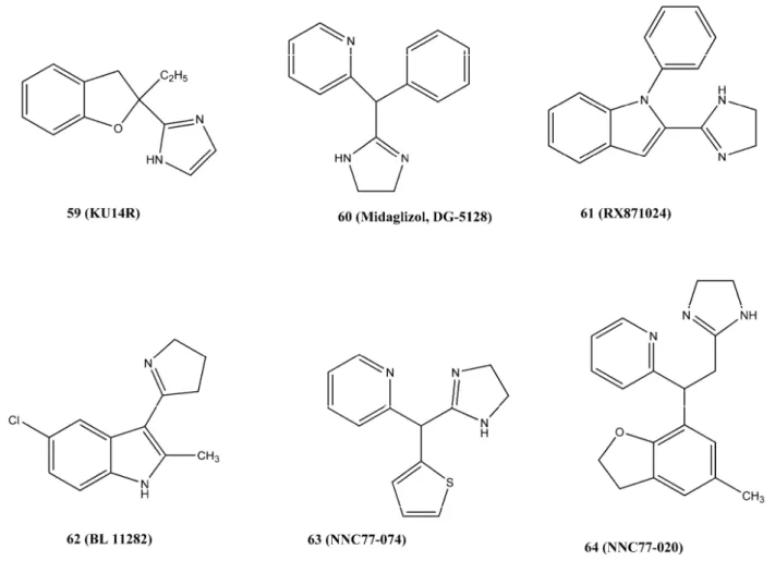 Figure 6. Structural formulas of I 3 -IR ligands. 