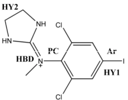 Figure 3. Pharmacophore model of I 1 -IR ligand: p-Iodocloni- p-Iodocloni-dine case. 