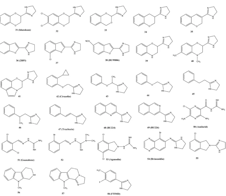Figure 4. Structural formulas of I 2 -IR ligands. 