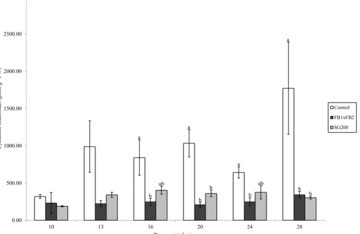 Fig 4. Total CK glucoside concentration (pmol g -1 FW) for control, dikaryon and solopathogen injected cob tissue at specific days post infection (dpi)