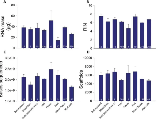 Figure 3. Variation among tissue types in RNA quality and transcriptome size. We observed differences among tissue types for (A) total RNA mass (mg) isolated, (B) RIN, (C) sequencing depth and (D) number of scaffolds