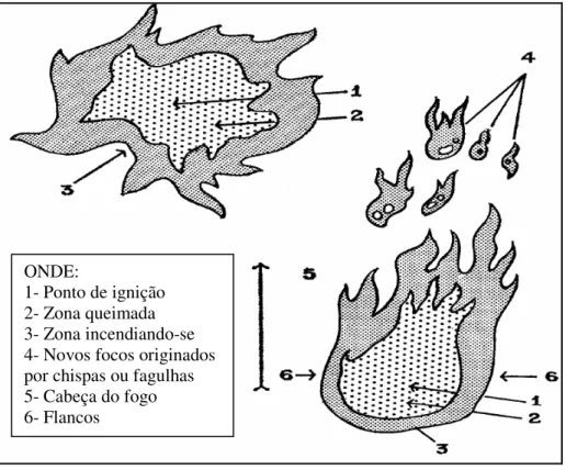 Figura 3: Formas em que se desenvolve um incêndio florestal.  