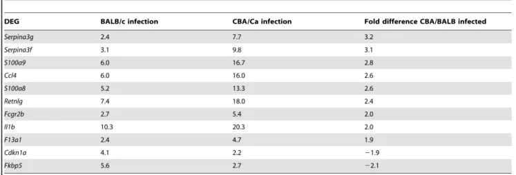 Table 8. Significantly regulated pathways (KEGG) during infection and differentiating PBS-treated BALB/c and CBA/Ca mice.
