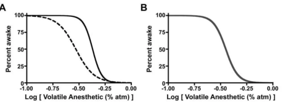 Figure 2. Neural Inertia In Wild Type Mice. Within the shaded area, subjects will be awake or anesthetized depending upon their previous state of arousal