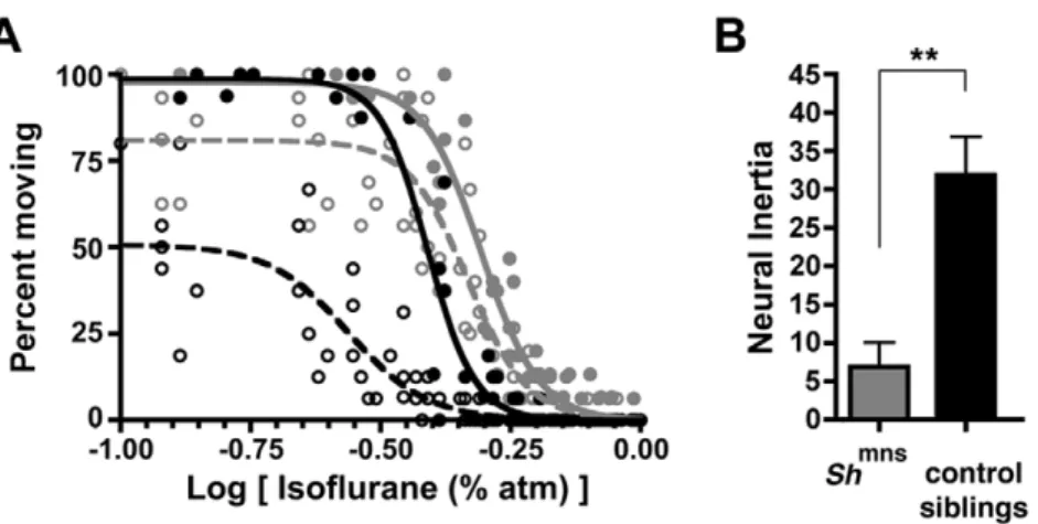 Table 3. Best fit parameters for isoflurane studies in Drosophila carrying the Sh mns mutation and their sibling controls.