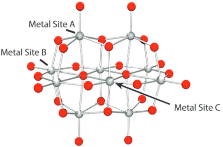 Fig. 2 51 V NMR (105.2 MHz, 9.4 T) spectra, at ambient temperature of 50 mM (total vanadium) concentration of decavanadate ( pH 4.0) (A) and metavanadate solutions ( pH 6.7) (B)