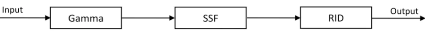 Fig 2. Flow chart of our proposed algorithm. A degraded image is enhanced through three steps in sequence: Gamma manipulation (Gamma), self-similarity filtering (SSF) and robust inverse diffusion (RID), respectively.