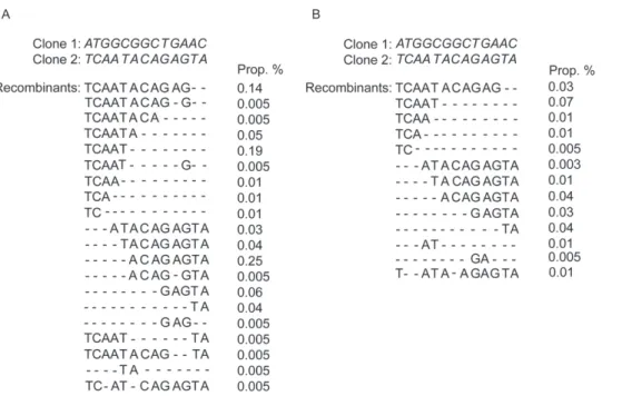 Figure 5. Analysis of in vitro PCR recombination. The informative sites of clone 1 and clone 2 (see Figure 1) are shown in italics in the upper part of the figure