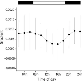 Figure 3. Gradients of linear regression of Tb and motor activity in different times of the day