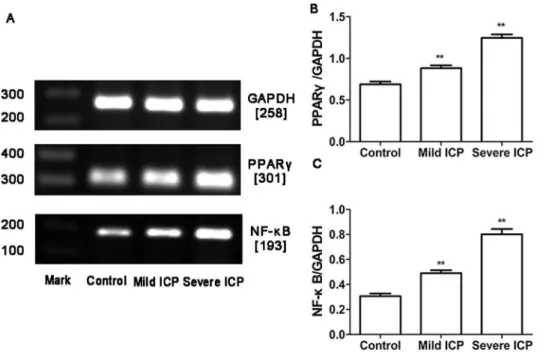 Figure 3. Expression of PPARc and NF-kB protein in placentas from control group and ICP groups