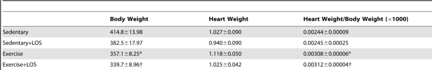 Table 1. Body weights, heart weights and heart weight/body weight ratios at the endpoint.