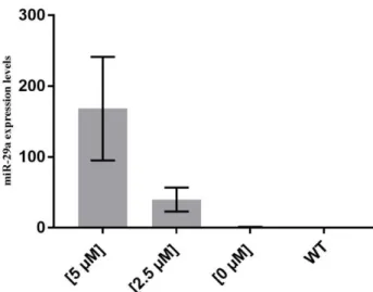 Figure  3.5  miRCURY  LNA  miRNA  mimics  for  dre-miRNA-29a  expression  levels  to  confirm  the  overexpression of this miRNA, measured by qPCR