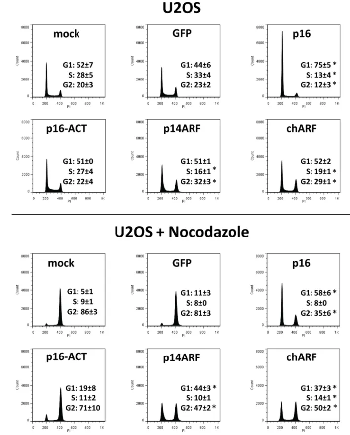 Figure 5. chARF arrests U2OS cells in the G1 and G2/M phases of the cell cycle. U2OS cells were transfected with p16, p16-ACT, p14ARF, chARF, GFP, or no DNA (mock)