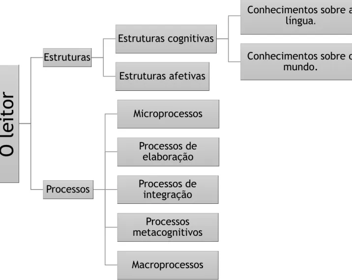 Figura 2 - Componentes da variável leitor. (in Giasson, 1993)