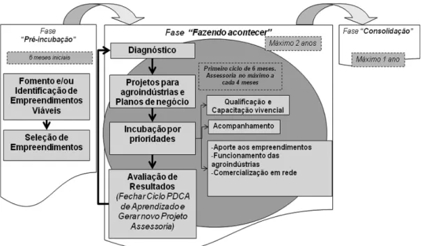 Figura 3 - Fases da avaliação dos resultados