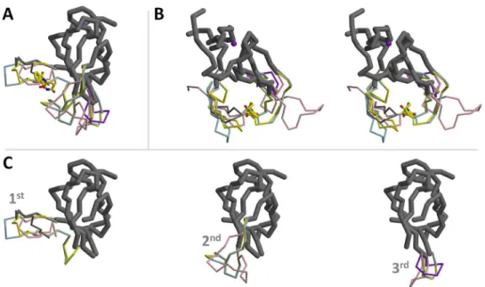 Fig 4. An ensemble of the available MsCI4 conformations. (A) Superposition of the thalidomide-bound conformation (yellow), the blue and pink monomers from Fig 3, the “ Wash I ” structure (thin dark grey), and the