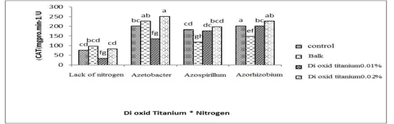 Fig. 2. Interaction effects of Dioxcid Titanium and Nitrogen fertilizer on CAT 