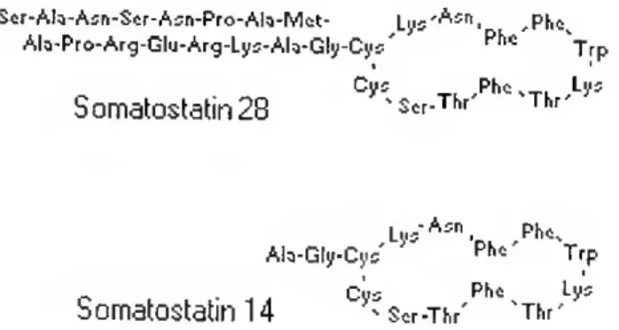 Figure 1.4-Amino acid sequence of SS-14 and SS-18 (Rubinow et ai, 2000). 