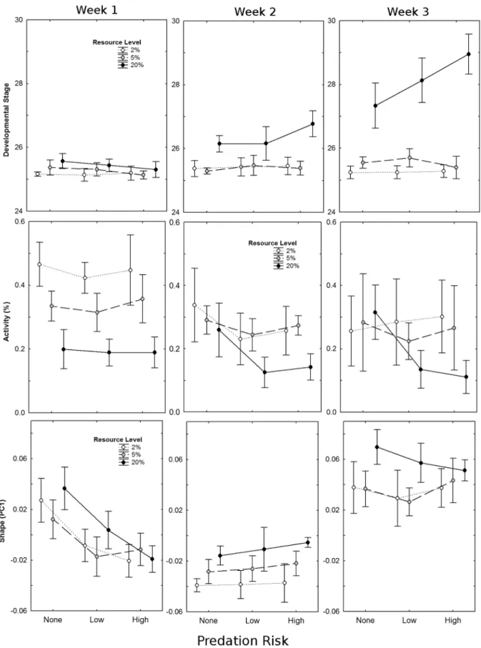 Figure 3. Interaction plots of resource level (2%: severe restriction, 5%: moderate restriction, 20%: saturation) and predation risk (none, low, high) on mean ( ± 95% CI) developmental stage (top), activity (proportion of active tadpoles per aquarium; midd