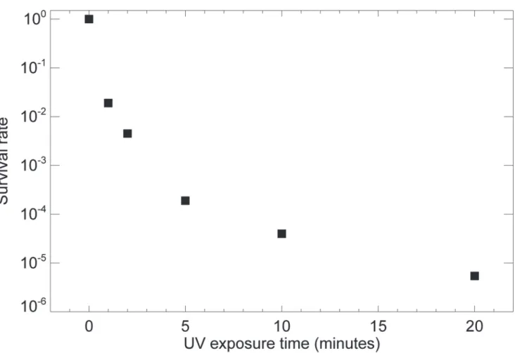 Fig 1. The survival rate of T7 bacteriophage under prolonged UV irradiation. About 60 million T7 bacteriophages in 3 μl solution were dropped on Si 3 N 4
