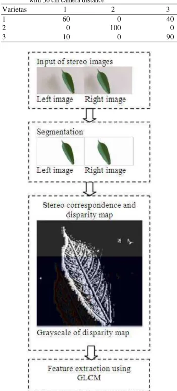 Table 1.  The  result  of  recognition  among  three  plant  varieties  with 50 cm camera distance