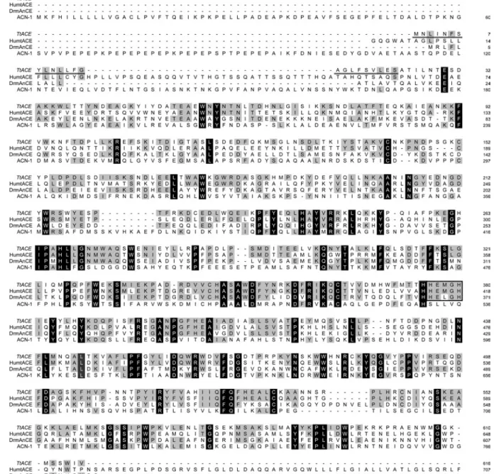 Figure 1 Amino acid sequence alignment between Tt ACE and ACEs of various species
