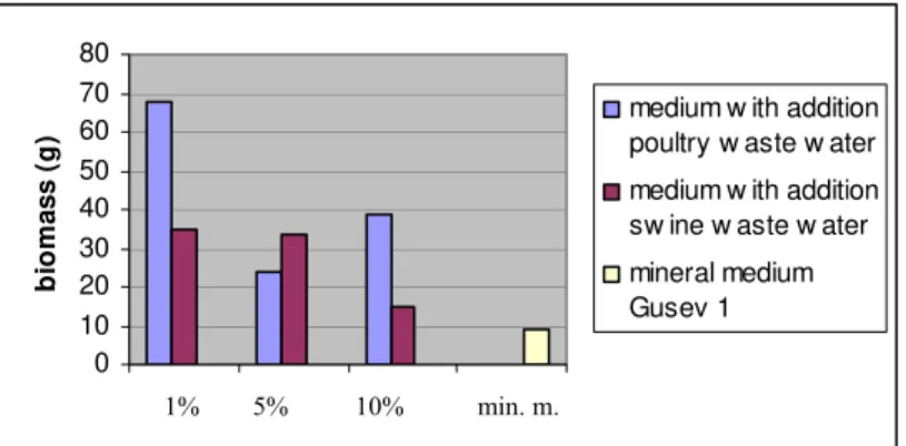 Fig. 1 Biomass algae Nostoc gelatinosum, grown on average by addition of waste waters from   livestock complexes for 20 days (g / l).