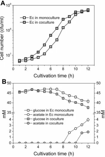 Figure 3. E. coli biomasses and substrate/end-metabolite concentrations. The cells were cultivated in a minimal salts medium supplied with glucose for 12 h