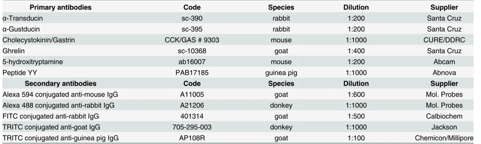 Table 1. List and dilutions of primary and secondary antibodies.