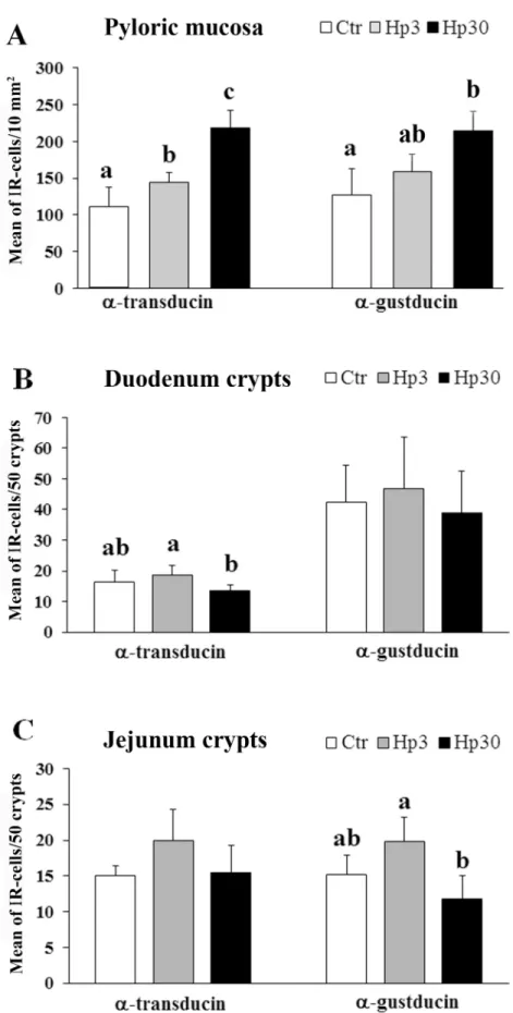 Fig 3. Quantitative assessment of the mean number of G α tran and G α gust -IR cells in the pig pyloric mucosa (A), duodenum (B) and jejunum (C) crypts