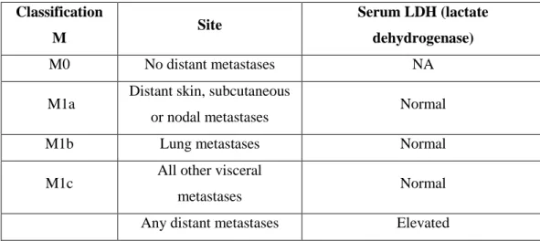 Table  1.2.2  – Lymph  nodes  classification.  According  to  the  7 th   edition  of  the  Melanoma  staging  system by the American Joint Commission on Cancer (AJCC)