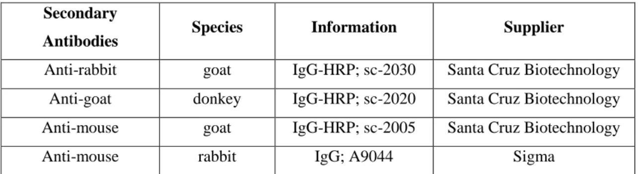 Table 2.2.1 – Secondary antibodies used. Datasheets of each antibody are on Appendix A12-A15