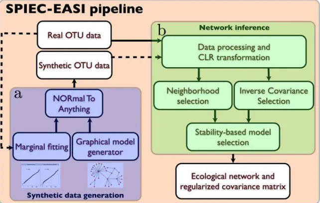 Fig 2. Workflow of the SPIEC-EASI pipeline. The SPIEC-EASI pipeline consists of two independent parts for a) synthetic data generation and b) network inference