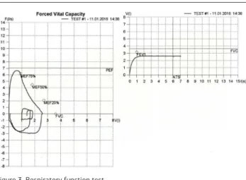 Figure 3. Respiratory function test