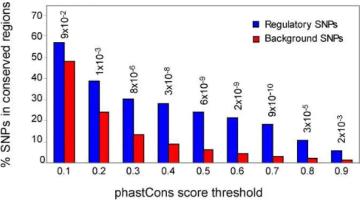 Figure 4. Distributions of Mean phastCons Scores for SNPs located at Different Distances from the TSS