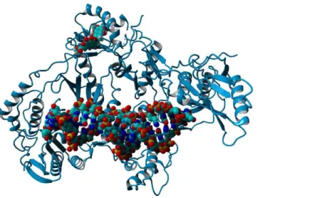 Figure 2 Preferential binding mode of ligand 28 to HIV reverse transcriptase, as computed with AutoDock, with superposed DNA molecule taken from the DNA-bound HIV structure (PDB: 2HMI) (Ding et al., 1998).