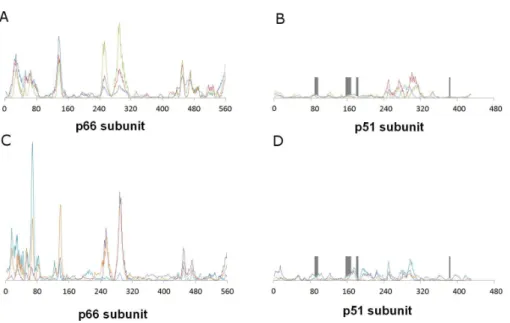 Figure 3 Relative contribution of each amino acid displacement to the first six non-trivial normal modes of HIV-1 reverse transcriptase