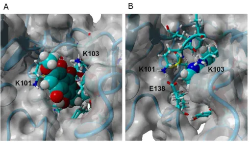 Figure 4 γ -rubromycin (A) and rilpivirine (B) bound to wild-type HIV-1 reverse transcriptase