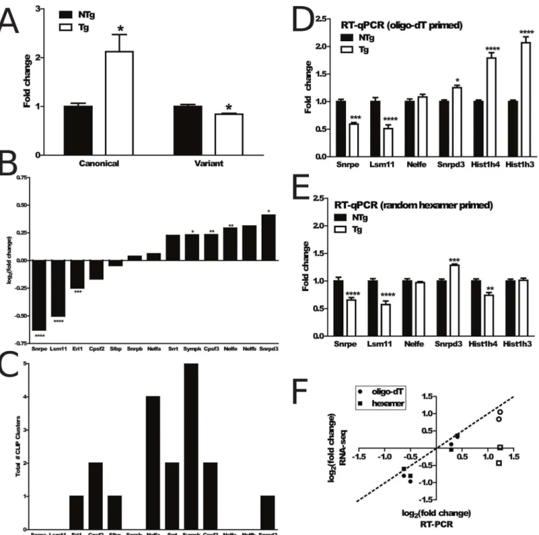 Fig 4. Histone transcript dysregulation in Δ NLS-hTDP-43 mice. (A), Comparison of multimapped read fold change in canonical and variant histones shows a significant upregulation in canonical histones (fold change = 2.12, 2-sided t-test p = 0.046) and signi