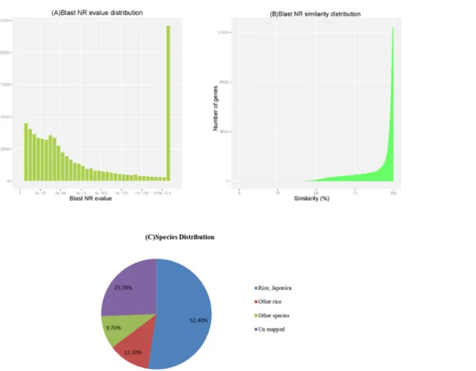Fig 1. Characteristics of the BLAST matches of the transcriptome unigenes. (A) E-value and (B) Similarity distribution of the top BLAST hits for each unigene in the NR database, with a cut-off E-value of 1.0E-5