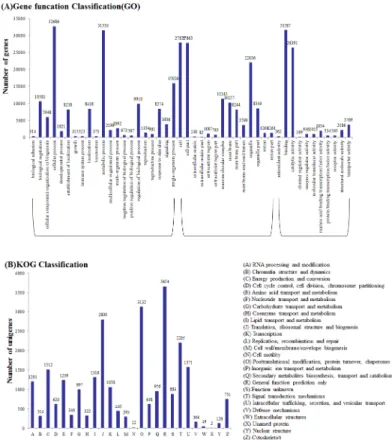 Fig 2. Functional classification of the assembled unigenes. (A) Comparison of Gene Ontology (GO) classifications of common wild rice