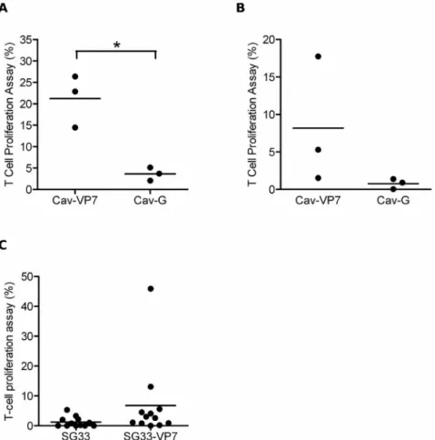 Figure 3. Inoculation of sheep with Cav-VP7 R 0 and SG33-VP7 elicits T-cell responses