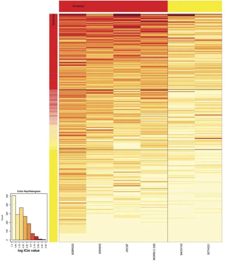 Figure 1. Heatmap and clustering analysis of HIV-1 specific cross-reactive neutralizing activity in serum