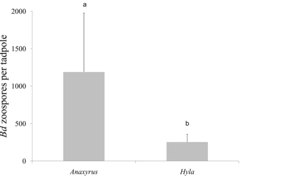 Figure 2. Relationship between mean Batrachochytrium dendrobatidis ( Bd ) load and proportion of tadpoles aggregating