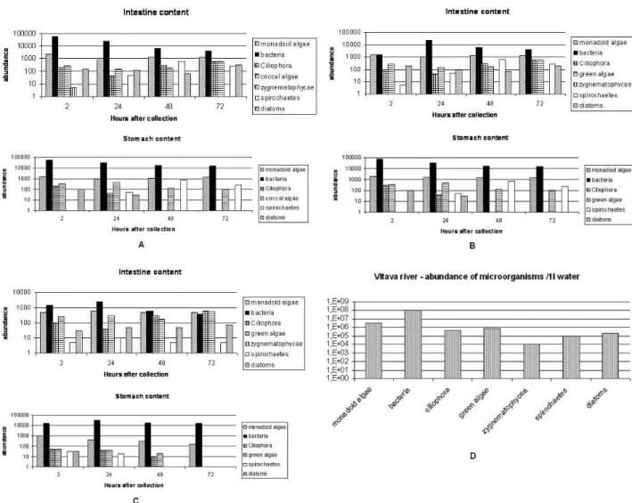 Fig. 1. An example of changes in the stomach and intestine content of sphaeriid clams from the Vltava River during starvation: mean  abundances of the most important groups of microorganisms counted from the three specimens dissected in each time period