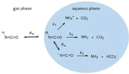 Figure 1. The fate of HNCO in the atmosphere includes its partitioning between the gas and aqueous phases and its hydrolysis through three di ﬀ erent mechanisms governed by k 1 , k 2 , and k 3 .