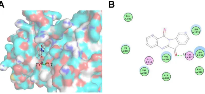 Figure 8. The favourable binding position of tryptanthrin with lowest binding free energy in the ATP-binding site of VEGFR2 (PDB code 1YWN) as analyzed by molecular docking study
