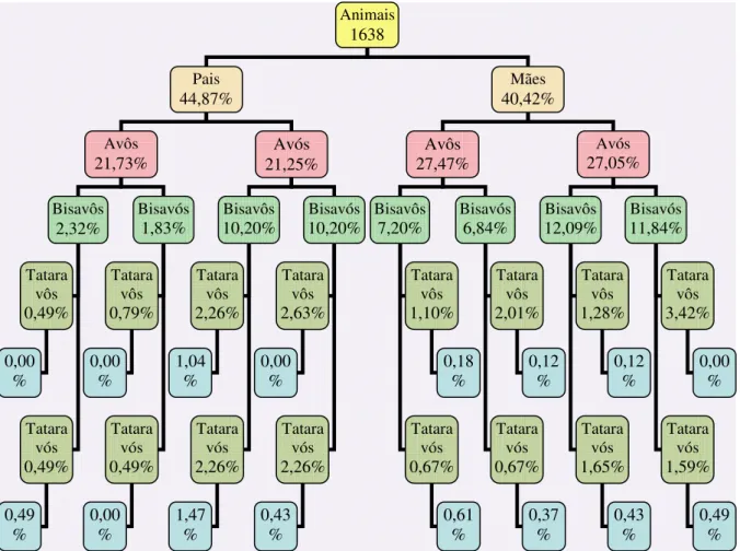 Figura  2.1  -  Estrutura  do  pedigree  dos  animais  da  raça  bovina  Crioula  Lageana  e  nível  de  identificação dos ancestrais até a quinta geração
