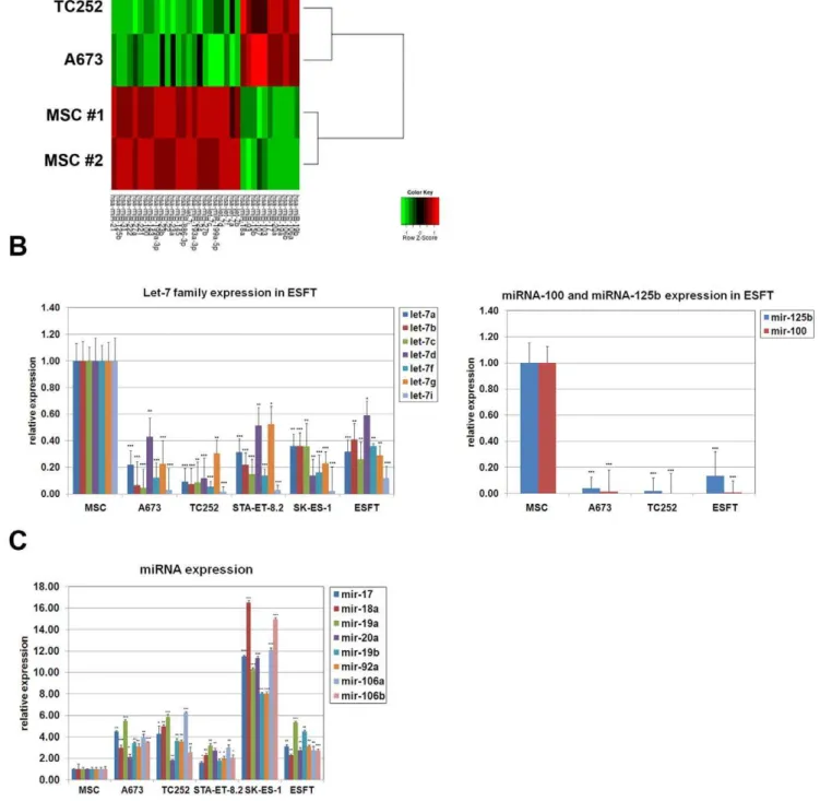 Figure 1. miRNAs expression in ESFT. A) Clustering of MSC, A673 and TC252 ESFT cell lines according to expression levels of the 35 differentially expressed microRNAs